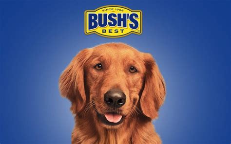 did the bush bean guy die|Duke, the Bushs Baked Beans Dog, Has Died